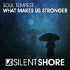 Soul Tempest - What Makes Us Stronger