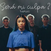Será Mi Culpa? (feat. Lautaro Lopez) [Remix] artwork