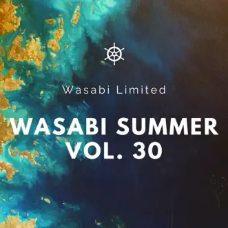 Welcome To Summer, Vol. 30 by Various Artists album reviews, ratings, credits