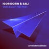 Voices of the Past - Single