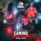 Camino Equivocado - Jessie Morales El Original De La Sierra lyrics