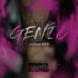 Genio (feat. Lexfly) [Remix] - Single - Droow