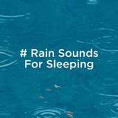 # Rain Sounds for Sleeping artwork