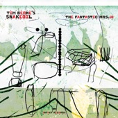 Tim Berne - The Amazing Mr. 7