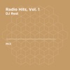 Radio Hits, Vol. 1 (DJ Mix)