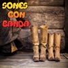 Sones Con Banda - El Son Del Changuito