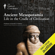 The Great Courses - Ancient Mesopotamia: Life in the Cradle of Civilization (Original Recording)