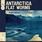 Flat Worms - Via