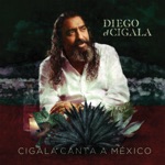 Diego El Cigala - Se Me Olvido Otra Vez