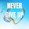Never give up - EP album lyrics, reviews, download