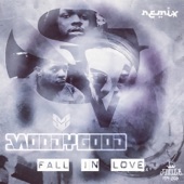 Fall in Love Moody Good (Remix) artwork