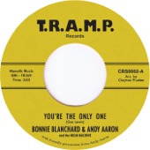 Andy Aaron - You're the Only One feat. Bonnie Blanchard,The Mean Machine