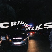 Cripwalks (with Pashanim & Monk) artwork