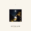 Better Now (feat. Mayer Hawthorne) - Single