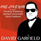 One Like You (feat. Smokey Robinson, Michael McDonald & David Sanborn) [Radio Version] artwork