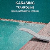 Trampoline (Edit Instrumental Mix) artwork