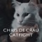 Catfight (Radio Edit) artwork