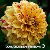 Liquid Drum & Bass Sessions Vol 11 artwork