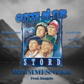 Gutta på tur 2020 - Hjemmesnekk (feat. Lord Vatle, Dj Veggen & Fluge Flow) artwork