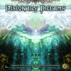 Visionary Dreams