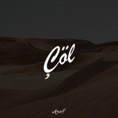 Çöl artwork