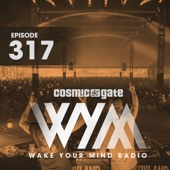 Wake Your Mind Radio 317 artwork