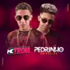 Stream & download Hit do Brega (feat. Pedrinho do Recife) - Single