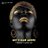 I Won't Give Up (Radio Edit) artwork