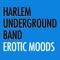Loose Joints - Harlem Underground Band lyrics