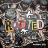 Rooted Ep