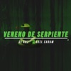 Veneno de Serpiente (feat. Axel Caram) - Single