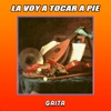 La Voy a Tocar a Pie - Single