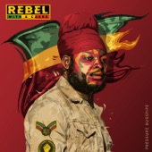 Jah Is Real (feat. Protoje) artwork