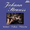 Strauss Sohn: Walzer - Polkas - Märsche, Vol. 3