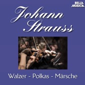 Polka Francaise für Orchester: Gruss an Wien artwork