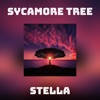 Sycamore Tree - Single