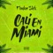 Cali en Miami - Flowker Slick lyrics