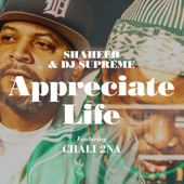 Appreciate Life (feat. Chali 2na) artwork