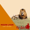 Mgon Lyon Kap Veyem - Single