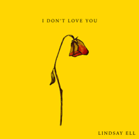 Lindsay Ell - I Don't Love You artwork