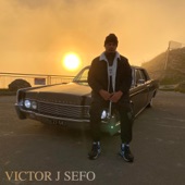 Victor J Sefo - Passenger Seat