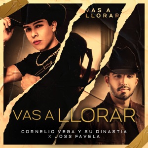 Vas a Llorar - Single