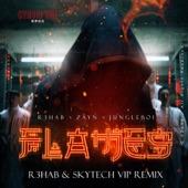 Flames (feat. Jungleboi) [R3HAB & Skytech VIP Remix] artwork