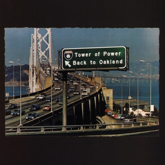 Cover artwork for I Got the Chop