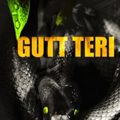 Gutt Teri (feat. Vsinghs, Pavvan & Keetview$) artwork