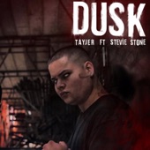 Dusk (feat. Stevie Stone) artwork