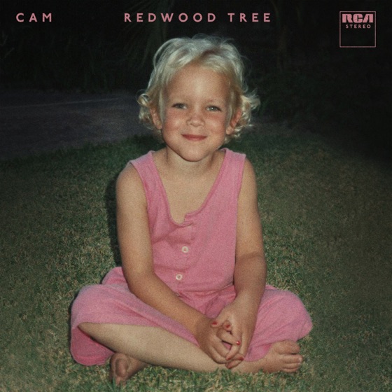 Cover artwork for Redwood Tree