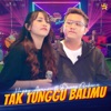 Tak Tunggu Balimu - Single