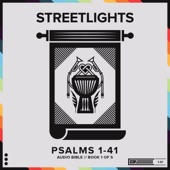 Psalms Book 1 (Chapters 1-41) artwork