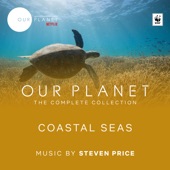 Coastal Seas (Episode 4 / Soundtrack From The Netflix Original Series "Our Planet") artwork